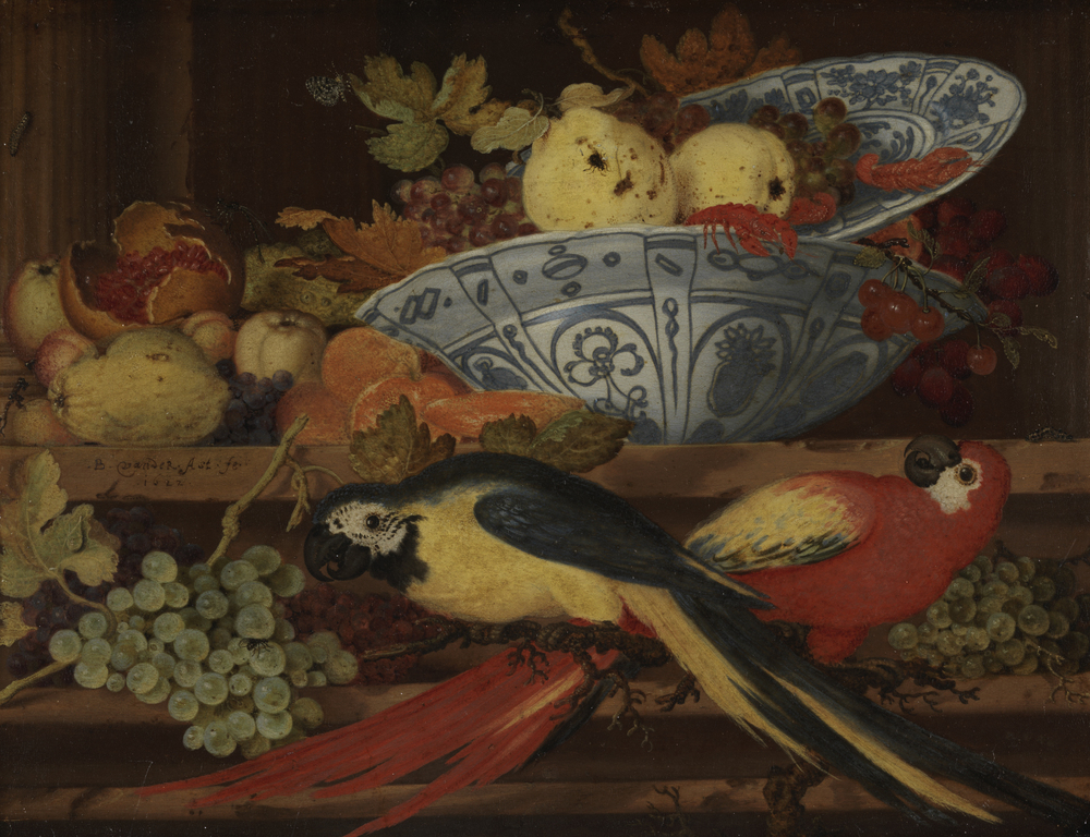 Still life with fruit and macaws