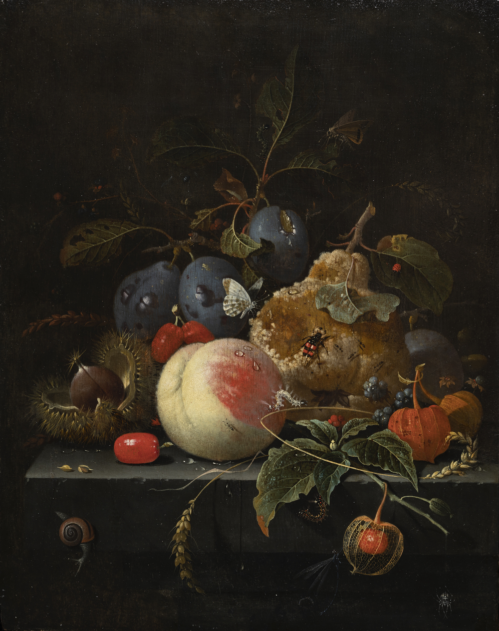 Still life with rotting fruit and nuts on a stone ledge